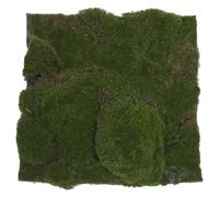 Hohopeti Tappeto di Muschio Artificiale Sintetico per Progetti di Paesaggistica e Micro-Paesaggio Bionico Fai da Te da Interno ed Esterno