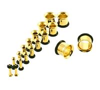 Hoisy Dilatatori Confezione da 18, Dilatatori Lobo Set Tunnel 1.6mm-10mm(14G-00G), Set Per Piercing Orecchio Cerchio, Acciaio Inossidabile, Oro