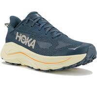 HOKA - Challenger 8 - Scarpe per trail running EU 44 2/3 - Regular beige