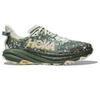 Scarpe HOKA Speedgoat 6 GORE-TEX verde bottiglia - 41(1/3)