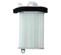 Hokio Filtro Dell´aria Yamaha T-max 500 Cc (cvt)