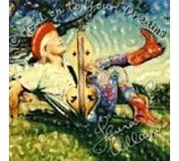 Hold on to Your Dreams by Laura Allan