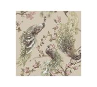 Holden Décor Menali Pavone Carta da Parati (AG896)