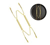 Holders for - Golden Iron Hangers for Plates | Adjustable Invisible Wire Hanger Multifunctional for Clock, Clothing, Photo, Bag, Key