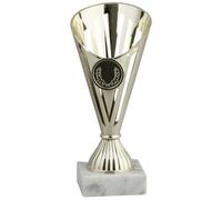 Hole Gadget Coppa Trofeo Personalizzabile con Base in Marmo e Targhetta in Metallo Omaggio, per Calcio, Fantacalcio, Padel, Basket, Sport, Scuola, Concorsi e Premi di Ogni Genere (13.021)
