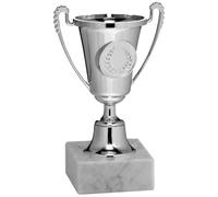 Hole Gadget Coppa Trofeo Personalizzabile con Base in Marmo e Targhetta in Metallo Omaggio, per Calcio, Fantacalcio, Padel, Basket, Sport, Scuola, Concorsi e Premi di Ogni Genere (13.291)