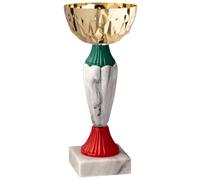 Hole Gadget Coppa Trofeo Personalizzabile con Base in Marmo e Targhetta in Metallo Omaggio, per Calcio, Fantacalcio, Padel, Basket, Sport, Scuola, Concorsi e Premi di Ogni Genere (13.391)