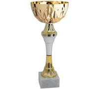 Hole Gadget Coppa Trofeo Personalizzabile con Base in Marmo e Targhetta in Metallo Omaggio, per Calcio, Fantacalcio, Padel, Basket, Sport, Scuola, Concorsi e Premi di Ogni Genere (13.591)