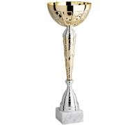Hole Gadget Coppa Trofeo Personalizzati, Premiazioni Singole o in Set Completi, Sportivi per Eventi, Calcio, Fantacalcio, Basket, Padel, Personalizzabile su Targhetta cod. 10.031 (37 cm | Oro)