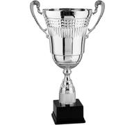 Hole Gadget | Premiazioni Personalizzate, Coppa Trofeo Personalizzabile per Eventi e Fantacalcio, Calcio, Padel o Riconoscimento. Coppe e Trofei Varie Misure (2.455)