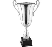 Hole Gadget | Premiazioni Personalizzate di qualità, Coppa Trofeo Personalizzabile per Eventi e Fantacalcio, Calcio, Padel o Riconoscimento. Coppe e Trofei Varie Misure (54 cm)