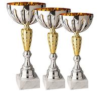 Hole Gadget Tris di Premiazioni Personalizzate Coppe e Trofei Sportivi con Targhetta Inclusa Premio per Tutti Gli Sport e Riconoscimento o Fantacalcio (10.019)