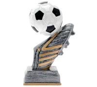 Hole Gadget | Trofei Calcio Personalizzati con Targhetta Metallo Stampata - Premiazioni Varie Misure per Squadre, Fantacalcio, Tornei, Miglior Giocatore, Fair Play, Eventi Sportivi (15.312)