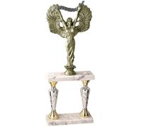 Hole Gadget Trofeo Coppa Personalizzabile da 50 cm per Premiazioni di Calcio e Sportive, Coppe e Trofei con Targhetta Personalizzata Inclusa Anche da Fantacalcio e Ricorrenze (5.231)