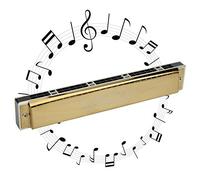 Hole Harmonica, 24 Hole 1.2mm Harmonica Polyphonic Mouthorgan Brass Base Plate Professional Stainless Steel Instrument for Music Lover Play (Tasto D)