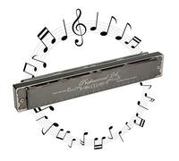 Hole Harmonica, 24 Hole 1.2mm Harmonica Polyphonic Mouthorgan Brass Base Plate Professional Stainless Steel Instrument for Music Lover Play (Tasto D)