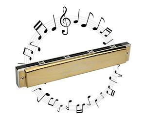 Hole Harmonica, 24 Hole 1.2mm Harmonica Polyphonic Mouthorgan Brass Base Plate Professional Stainless Steel Instrument for Music Lover Play (Tasto D)