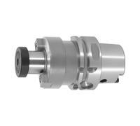 HOLEX Portafrese con trascinatori frontali, foro per lubrorefrigerante, HSK-A 100 A = 100, Ø32mm Quantità:1