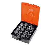 HOLEX Set di 18 pinze ER 3-20mm, ER 32 Quantità:1
