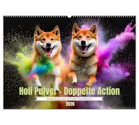 Holi Pulver - Doppelte Action (Wandkalender 2026 DIN A2 quer), CALVENDO Monatskalender: Leben ist das mit der Freude und den Farben