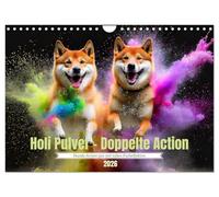 Holi Pulver - Doppelte Action (Wandkalender 2026 DIN A4 quer), CALVENDO Monatskalender: Leben ist das mit der Freude und den Farben