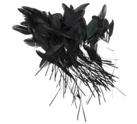 Holibanna 100 Pezzi Piuma Nera pennacchio Artigianale pennacchi per Artigianato Fai da Te per la Lavorazione Creazione di centrotavola per Feste Decorazione Nera Piuma di Pollo Nero