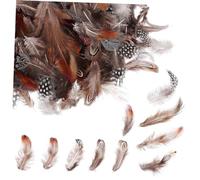 Holibanna 300 Pezzi Colore Misto Piuma Creazione Assortito Artigianato Naturale Decorazione Pennacchi Decorativi Arredamento per La Casa Piumaggio Artigianale Piumaggio Bruno