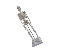 Holibanna Modello Scheletro e Portatile per Insegnamento Anatomia Scheletro Didattico per Yoga e Fitness