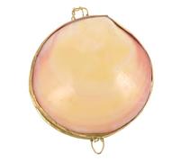 Holibanna Scatola Portagioie Forma Di Conchiglia Portanelli E Gioielli Shell Design Elegante E Minimalista Accessorio Decorativo Versatile Per Casa E Gioielleria