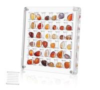 Holibanna Scatola Trasparente per Esposizione con Scomparti Gioielli e Design Multi per Organizzazione e Visibilità Sicuro per Protezione e Conservazione per Accessori Decorativi