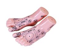 HOLIDYOYO di Visualizzazione dei Punti di Agopuntura del Piede Umano 1 Paio Educativo di Riflessologia Plantare per Scuole e Cliniche di Medicina Tradizionale Cinese Simulazione per