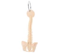 HOLIDYOYO Human Spine Model Keychain Beige PVC, Multipurpose Design Ideal for Research and Educational Use