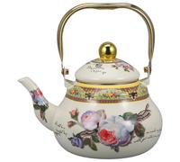 HOLIDYOYO Kettle Smaltato Libellula Teiera Retro Per Induzione e Accessorio Per Decorazioni e Bevande