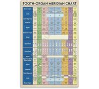 Holistic Health Educational Wall-Art Meridian Tooth Chart Canvas Print Anatomy for Office Clinic Decor(Framed,08x12inch(20x30cm))