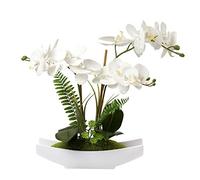 Hollyone Orchidee artificiali, orchidee artificiali, in vaso, orchidee artificiali, come reali, Phalaenopsis Bonsai artificiali, in vaso di ceramica, per soggiorno, bagno, decorazione bianca