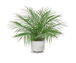 Hollyone Pianta Artificiale di Palma da 16'' in Vaso di Cemento - Piante Artificiali Decorative, Verde Finto per Decorazione della Casa, Tavolo, Soggiorno, Cucina, Ufficio - Piante Tropicali in