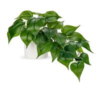 Hollyone Piante artificiali in vasi di ceramica, finto giada pothos piante decorative artificiali in vasi bianchi, come vere piante artificiali per casa, tavolo, ufficio, scrivania