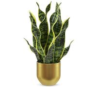 Hollyone Sansevieria - Pianta artificiale in vaso d'oro, 42 cm, pianta artificiale di serpente per casa, ufficio, hotel, Bookstore, decorazione moderna, verde chiaro
