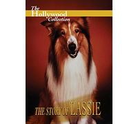 Hollywood Collection: The Story Of Lassie [Edizione: Stati Uniti]