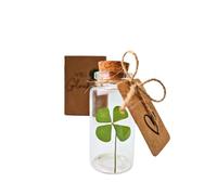 HOLM CRAFT - Portafortuna | Vero quadrifoglio in bottiglia di vetro con tappo di sughero | Piccolo regalo per la felicità | Regali di ringraziamento | Regalo di ringraziamento | portafortuna Capodanno