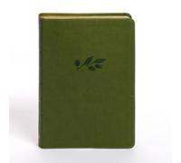 Holman Bible Pu KJV Personal Size Giant Print Bible, Oliv (Rilegato in ecopelle)