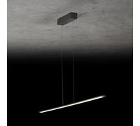Holtkötter Epsilon lampada a sospensione, LED, 9231-1-62, Epsilon [Lampade per Interni > Lampade a Sospensione]