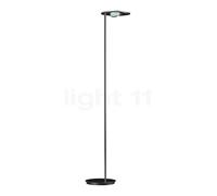 Holtkötter Nova Lampada a stelo-OOG LED, platino