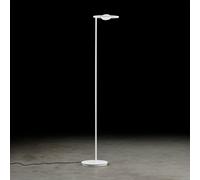 Holtkötter Nova proiettore a soffitto, LED, 9907-2-8, Nova; Nova OGG [Lampade per Interni > Lampade a piantana]