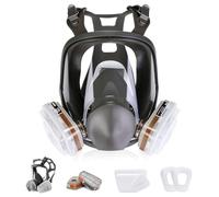 HOLULO Maschera per Verniciatura, Maschera Antipolvere Respiratore Pieno Facciale Protezione Certificazione CE (15-1)