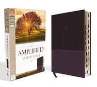 Holy Bible: Amplified Study Bible, Purple, Imitation Leather, Ribbon Marker