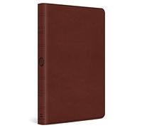 ESV Large Print Value Thinline Bible (Rilegato in ecopelle)