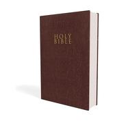 Holy Bible: New International Version, Burgundy, Leather-Look, Gift and Award