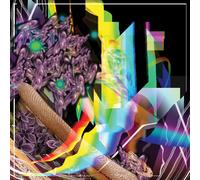 Holy Design (Vinyl LP)