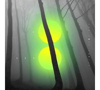 The Holy Family Go Zero (CD) Album